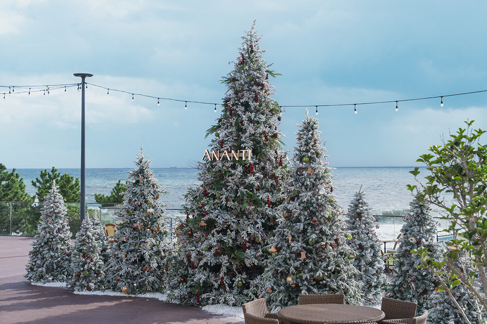 Busan's Winter Light Show: 4 Magical Festivals to Visit Now